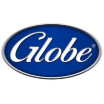 U01021005383 GLOBE BADGE